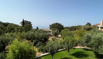 garden top view.jpg